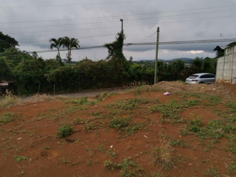 Foto Terreno en Venta en Alajuela, Alajuela - ¢ 45.000.000 - TEV58422 - BienesOnLine