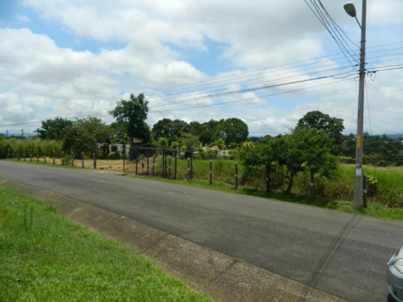 Foto Terreno en Venta en Alajuela, Alajuela - U$D 1.400.000 - TEV63370 - BienesOnLine