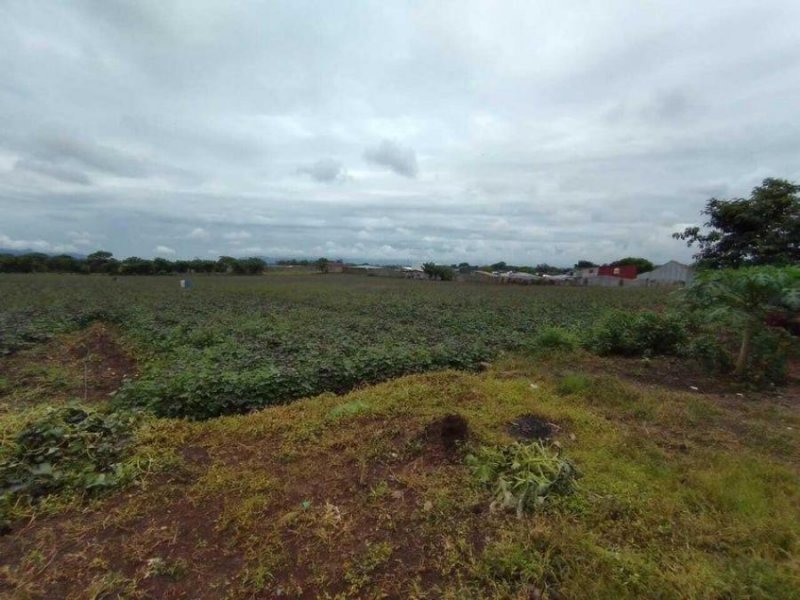 Foto Terreno en Venta en Alajuela, Alajuela - U$D 1.815.000 - TEV69544 - BienesOnLine