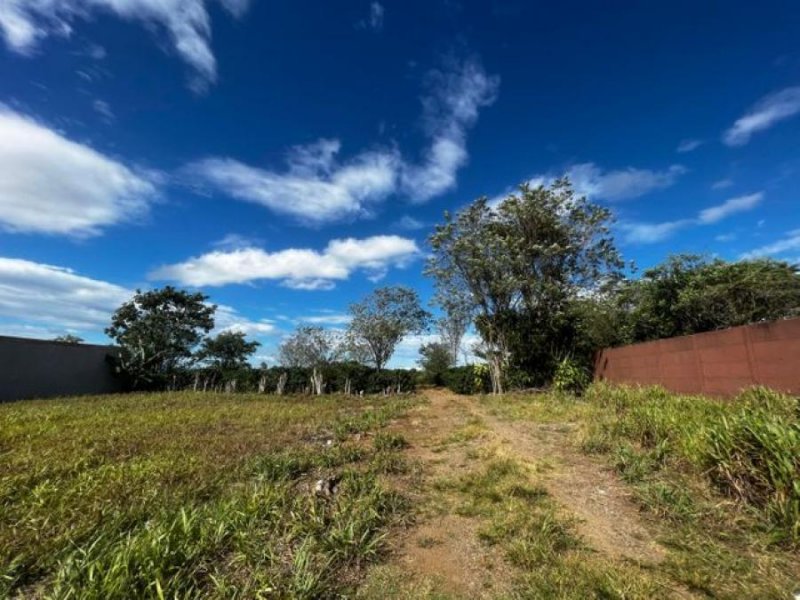 Foto Terreno en Venta en Alajuela, Alajuela - U$D 1.500.000 - TEV78502 - BienesOnLine