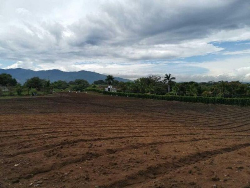 Foto Terreno en Venta en Alajuela, Alajuela - U$D 1.800.000 - TEV79139 - BienesOnLine