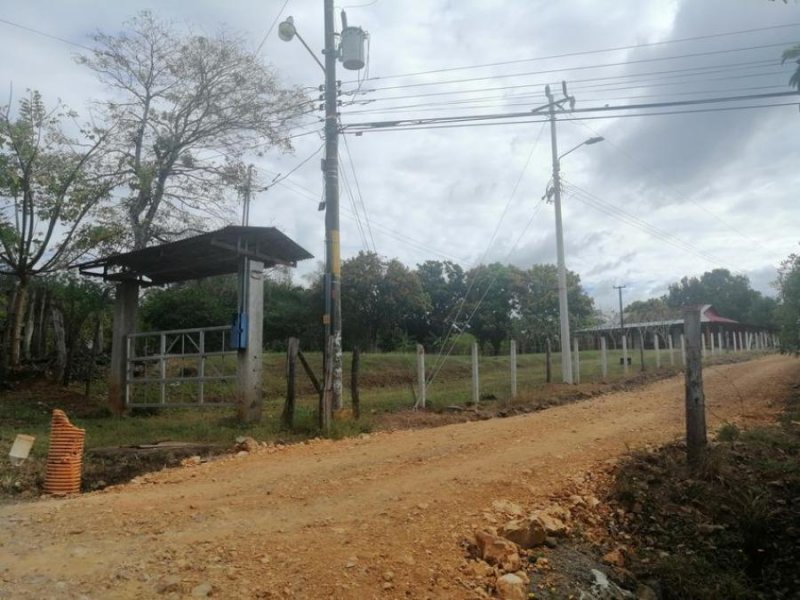 Foto Terreno en Venta en Atenas, Alajuela - U$D 301.000 - TEV66471 - BienesOnLine