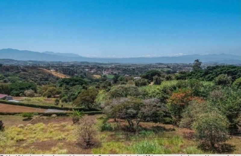 Foto Terreno en Venta en Grecia, Alajuela - U$D 67.500 - TEV64958 - BienesOnLine