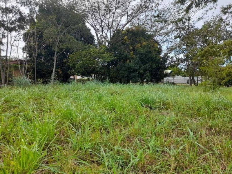 Foto Terreno en Venta en Orotina, Alajuela - U$D 38.000 - TEV68048 - BienesOnLine