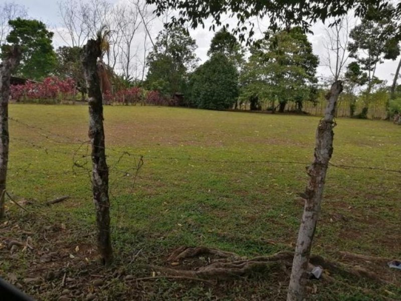 Foto Terreno en Venta en San Carlos, Alajuela - U$D 24.000 - TEV65415 - BienesOnLine