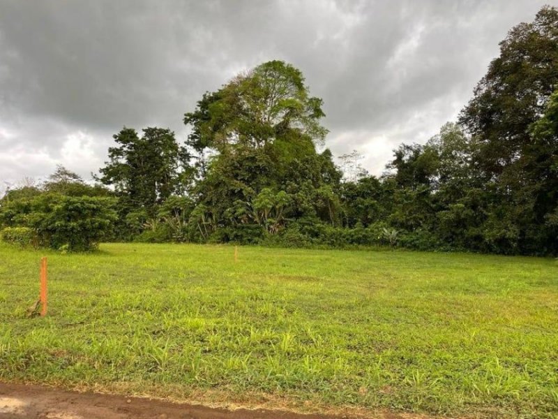 Foto Terreno en Venta en San Carlos, Alajuela - U$D 39.000 - TEV96036 - BienesOnLine