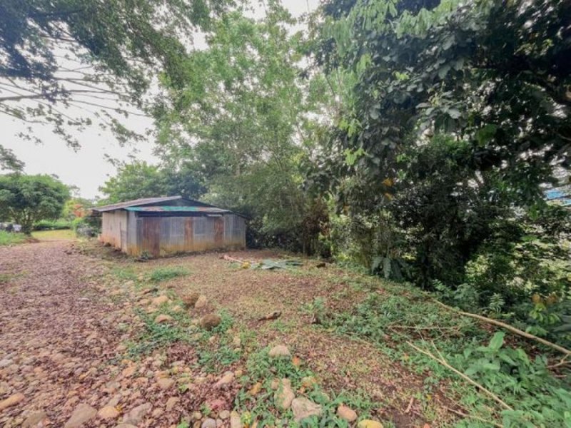 Foto Terreno en Venta en San Ramón, Alajuela - U$D 16.000 - TEV66567 - BienesOnLine