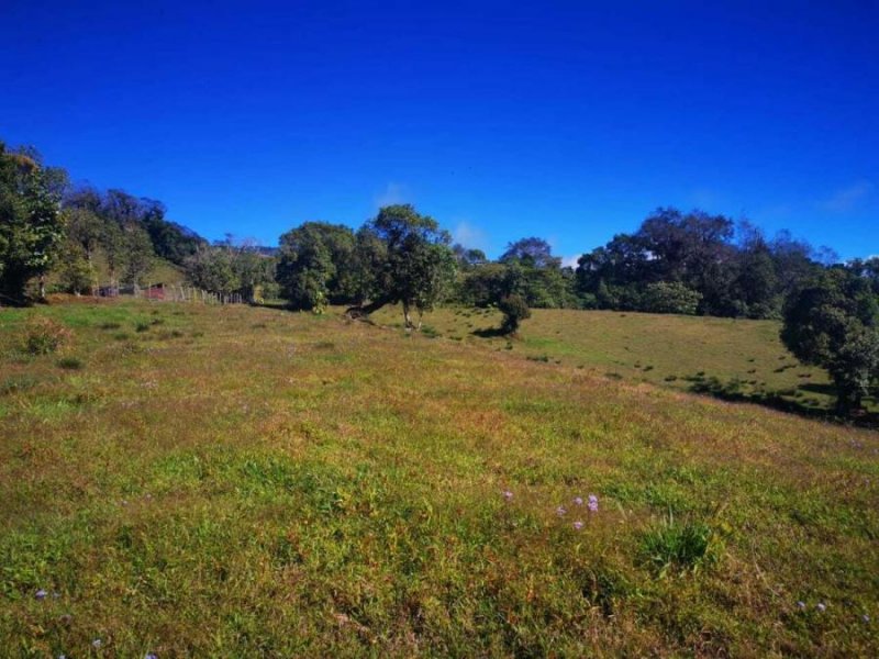 Terreno en Venta en  Alvarado, Cartago