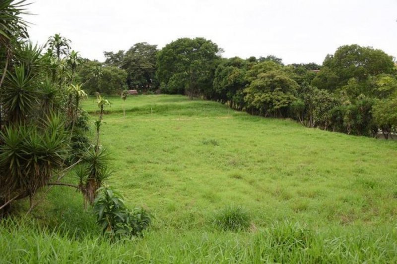 Foto Terreno en Venta en Bajo Carrillos, Poás, Alajuela - U$D 800.000 - TEV40458 - BienesOnLine