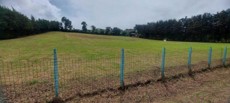 Foto Terreno en Venta en Cartago, Cartago - U$D 400.000 - TEV63999 - BienesOnLine