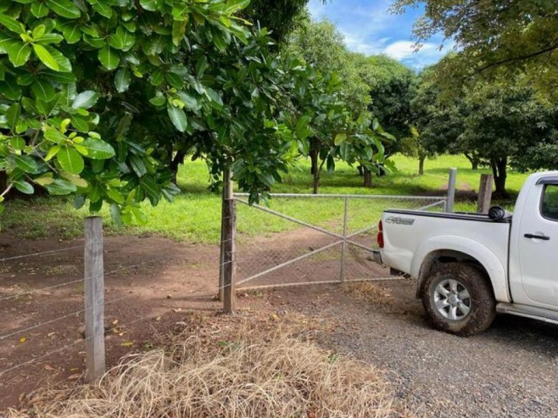 Foto Terreno en Venta en Cañas, Guanacaste - U$D 550.000 - TEV61697 - BienesOnLine