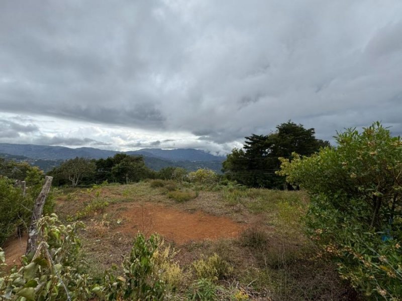 Venta de Lote en Caragral de El Guarco, Cartago. 