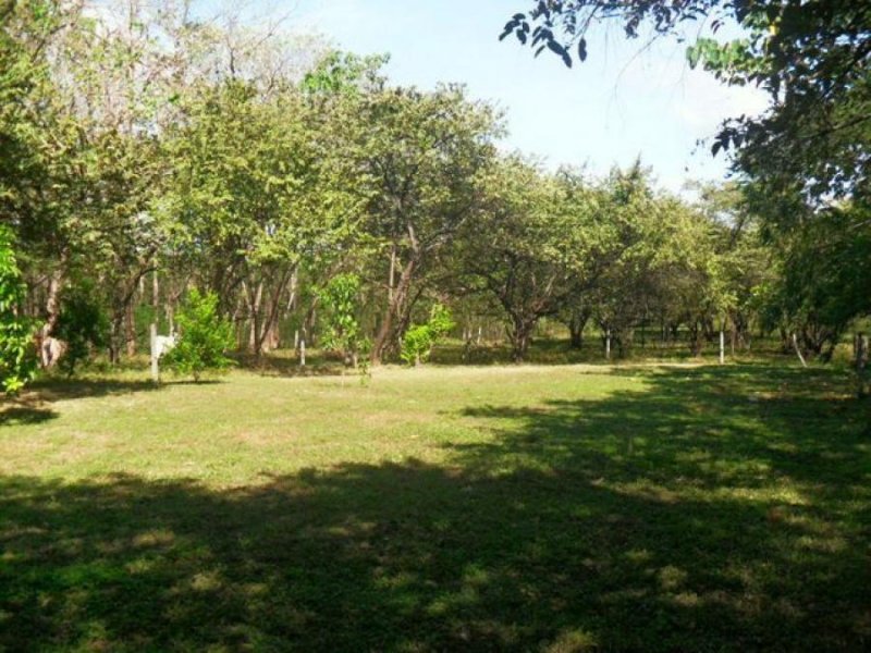 Foto Terreno en Venta en Carrillo, Guanacaste - ¢ 40.000.000 - TEV55630 - BienesOnLine