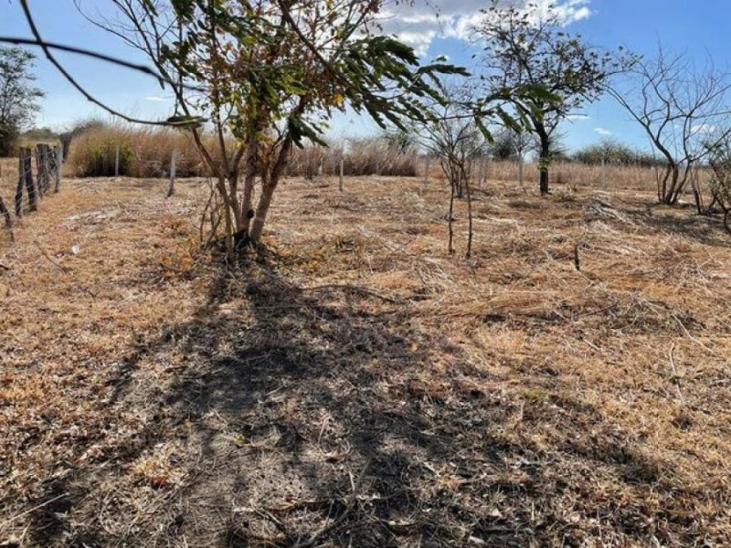 Foto Terreno en Venta en Carrillo, Guanacaste - ¢ 11.000.000 - TEV57765 - BienesOnLine