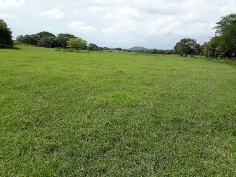 Terreno en Venta en  Carrillo, Guanacaste