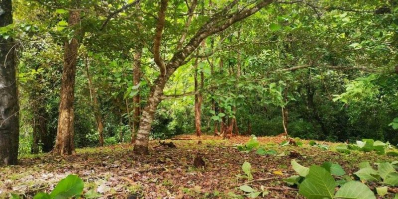 Terreno en Venta en  Carrillo, Guanacaste