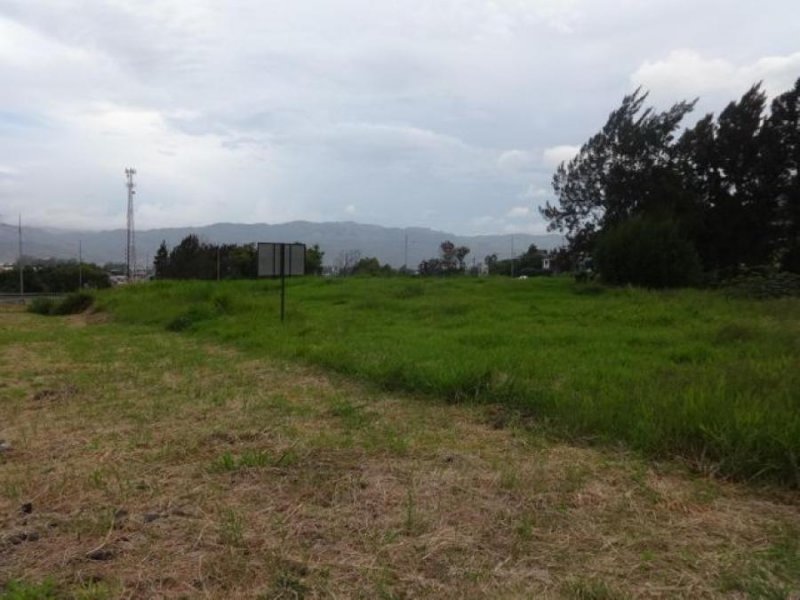 Foto Terreno en Venta en Cartago, Cartago - U$D 350.000 - TEV60528 - BienesOnLine