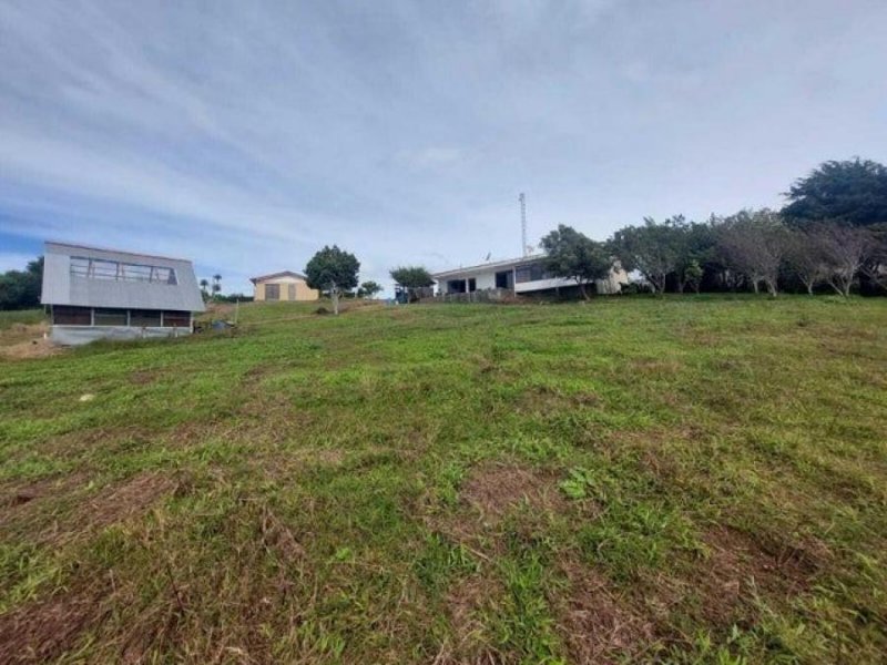 Foto Terreno en Venta en Cartago, Cartago - ¢ 300.000.000 - TEV76196 - BienesOnLine