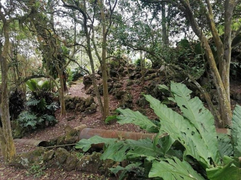 Terreno en Venta en  Paraíso, Cartago