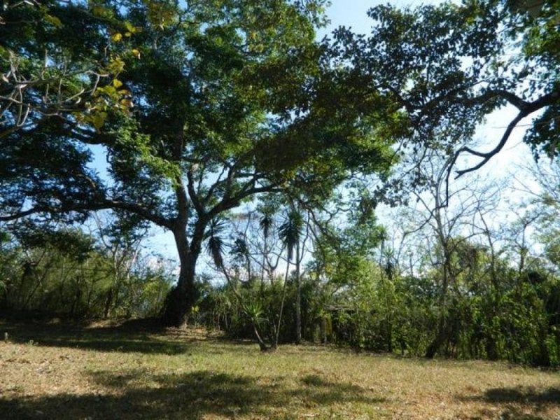 Foto Terreno en Venta en Ciudad Colon, Mora, San José - U$D 80.000 - TEV77762 - BienesOnLine