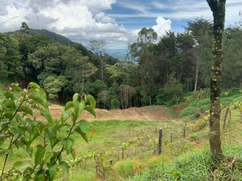 Foto Terreno en Venta en Copalchi, Cartago, Cartago - ¢ 36.000.000 - TEV50433 - BienesOnLine