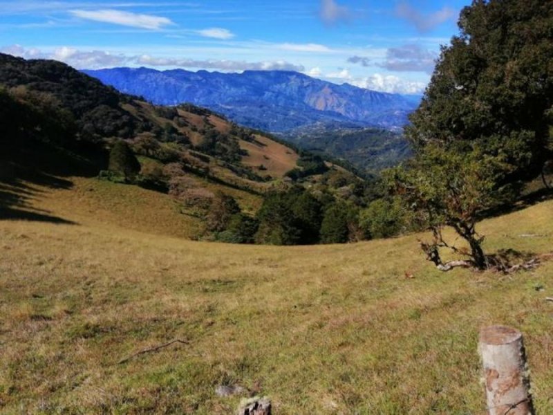 Foto Terreno en Venta en Santa Clara, El Guarco, Cartago - ¢ 126.000.000 - TEV51672 - BienesOnLine