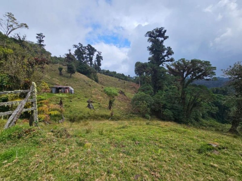 Foto Terreno en Venta en El Guarco, Cartago - U$D 85.000 - TEV75501 - BienesOnLine