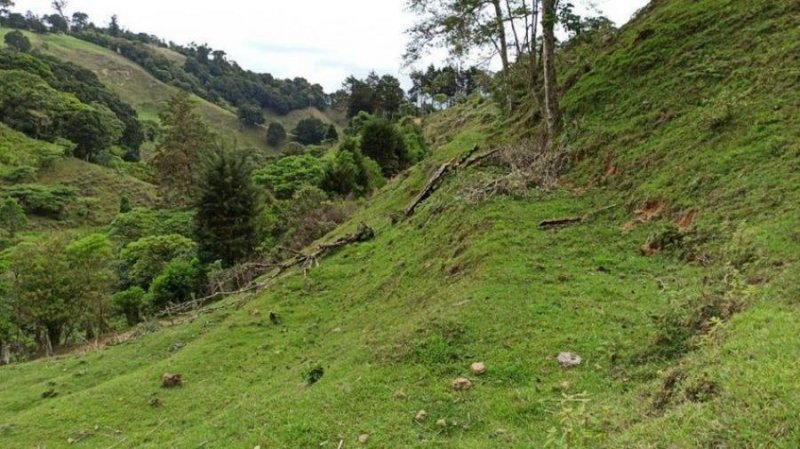 Terreno en Venta en  El Guarco, Cartago