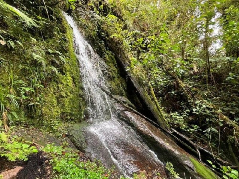 Terreno en Venta en  El Guarco, Cartago