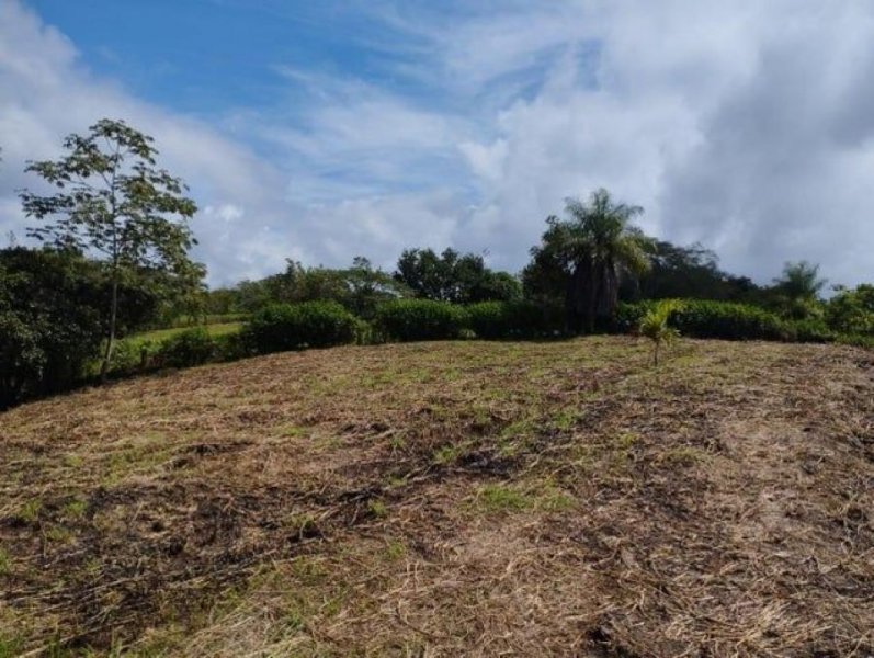 Terreno en Venta en  Esparza, Puntarenas