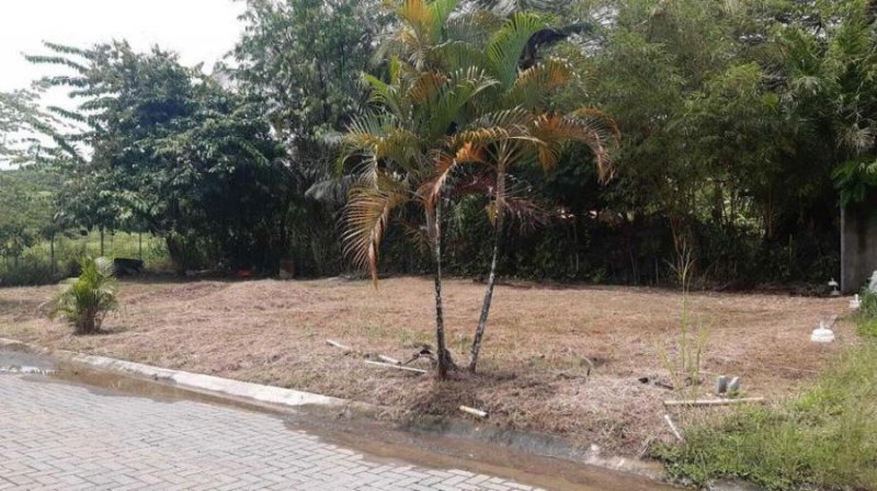 Foto Terreno en Venta en Garabito, Puntarenas - ¢ 29.000.000 - TEV54857 - BienesOnLine