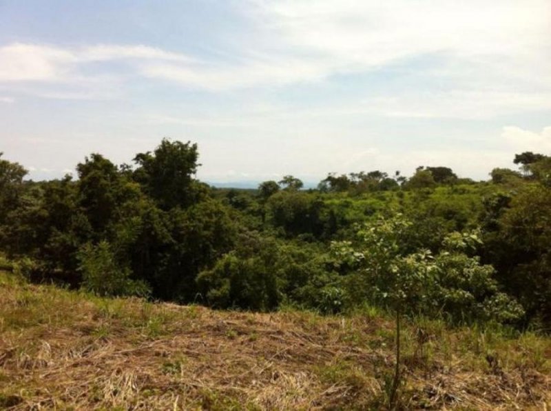 Foto Terreno en Venta en Garabito, Garabito, Puntarenas - U$D 200.000 - TEV41260 - BienesOnLine