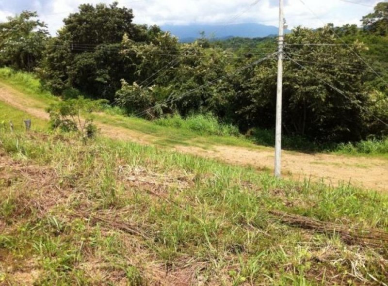 Foto Terreno en Venta en Garabito, Puntarenas - ¢ 116.000.000 - TEV54443 - BienesOnLine