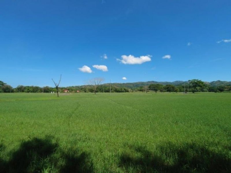 Terreno en Venta en  Garabito, Puntarenas