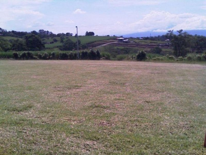 Foto Terreno en Venta en Los Laureles, Grecia, Alajuela - ¢ 73.000.000 - TEV48338 - BienesOnLine