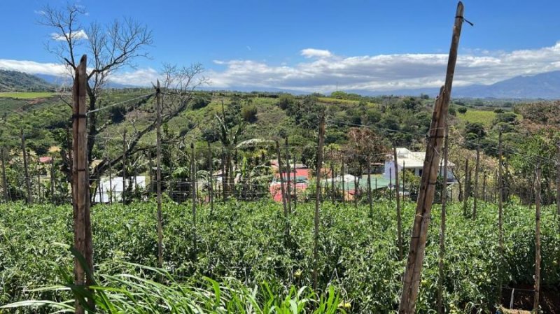 Terreno en Venta en Yoses Grecia, Alajuela