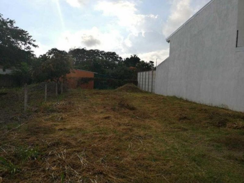 Foto Terreno en Venta en Guácima, Alajuela, Alajuela - ¢ 32.000.000 - TEV52427 - BienesOnLine