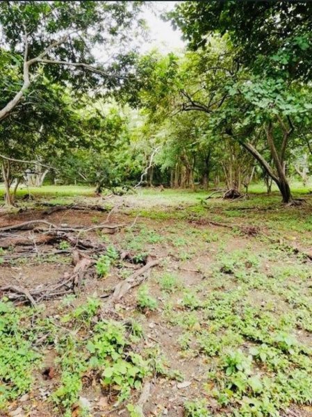 Terreno en Venta en  La Cruz, Guanacaste