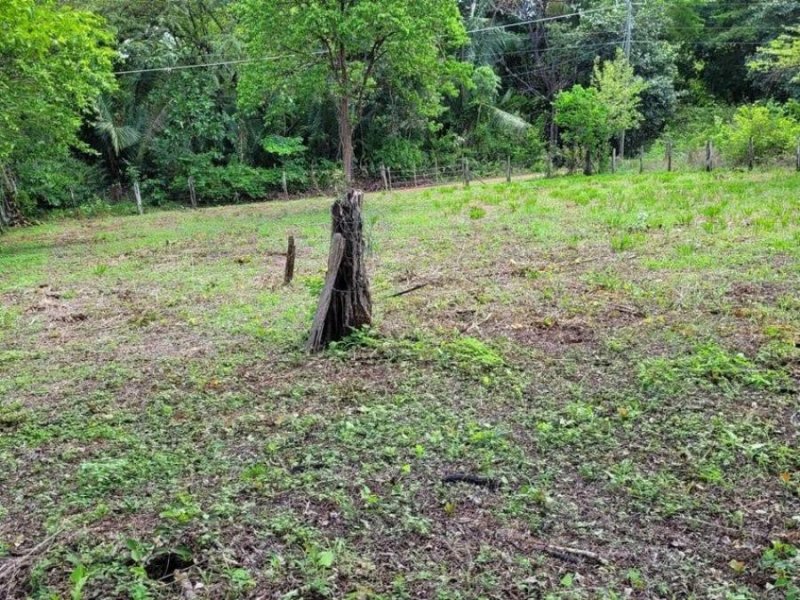 Foto Terreno en Venta en Santa Cruz, Guanacaste - U$D 40.000 - TEV95939 - BienesOnLine