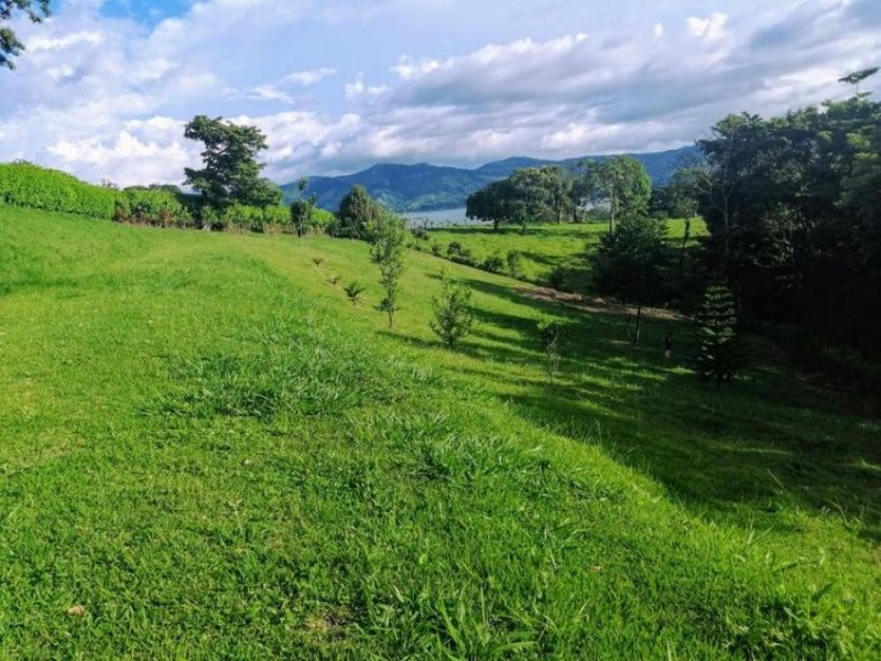 Terreno en Venta en  Arenal, Guanacaste