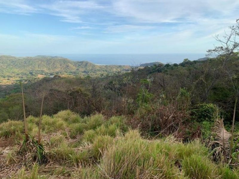 Foto Terreno en Venta en Hojancha, Guanacaste - U$D 459.000 - TEV63800 - BienesOnLine