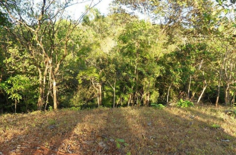 Venta de Lote en Hojancha, Guanacaste. RAH 25-574