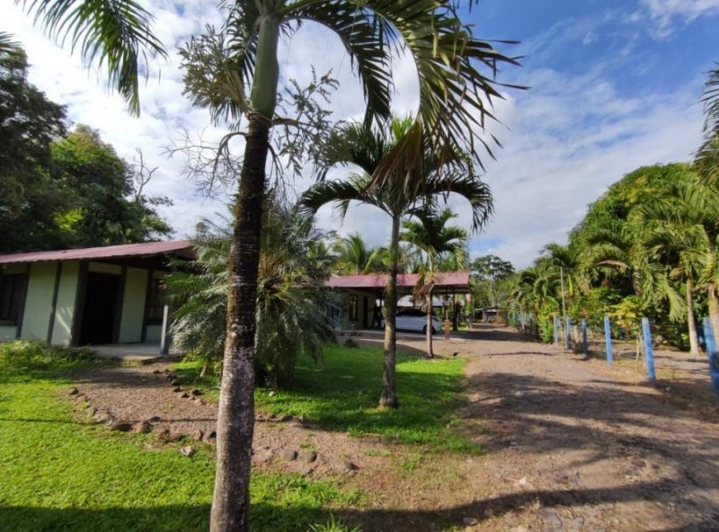 Venta de lote en Horquetas de Sarapiquí GB