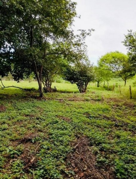 Terreno en Venta en  La Cruz, Guanacaste