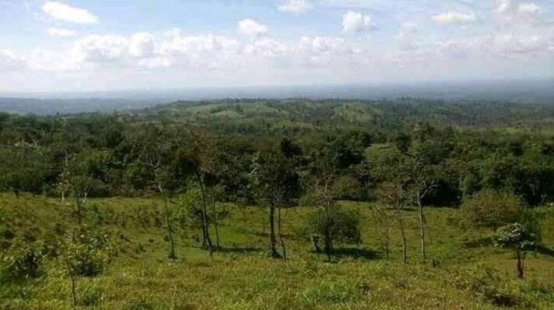 Foto Terreno en Venta en La Fortuna, San Carlos, Alajuela - U$D 271.000 - TEV75013 - BienesOnLine