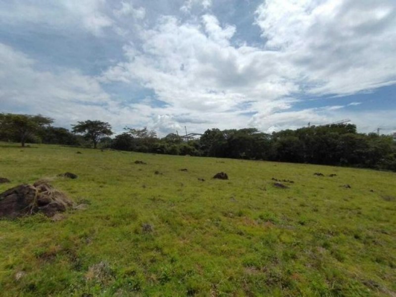 Foto Terreno en Venta en Garita, Alajuela - U$D 4.316.000 - TEV58793 - BienesOnLine