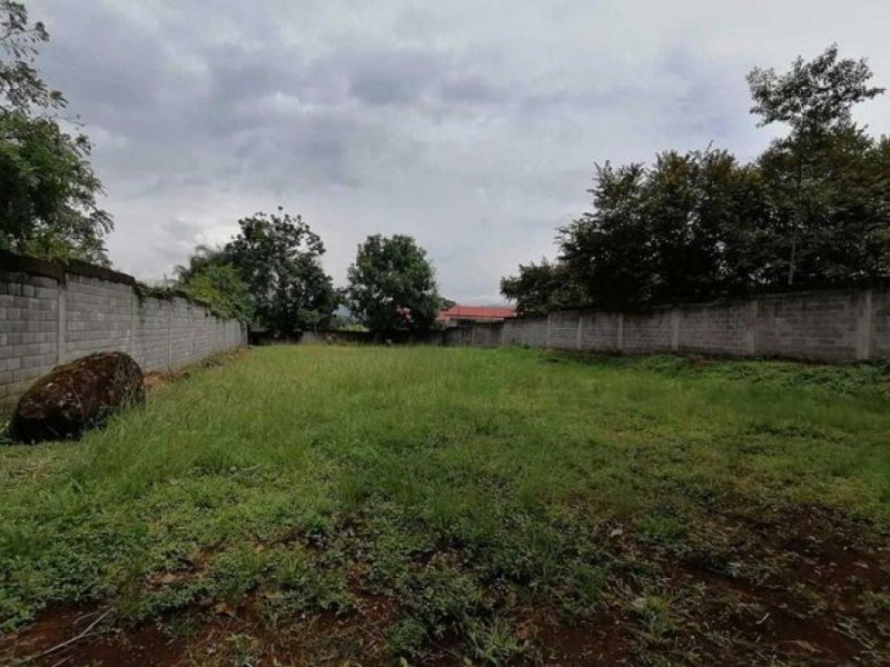 Foto Terreno en Venta en Alajuela, Alajuela - ¢ 74.000.000 - TEV58057 - BienesOnLine