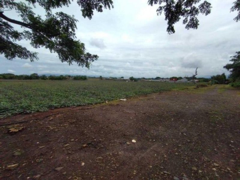 Foto Terreno en Venta en Guácima Arriba, Guácima, Alajuela - U$D 1.815.000 - TEV80006 - BienesOnLine