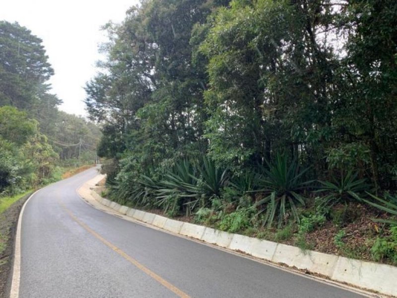 Foto Terreno en Venta en El Jardín, Dota, San José - ¢ 50.000.000 - TEV46926 - BienesOnLine