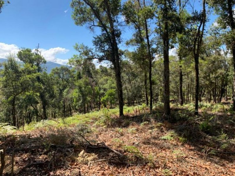 Terreno en Venta en San Pablo León Cortes, San José